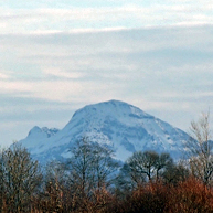 Zufallsbild
