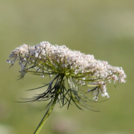 Zufallsbild