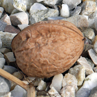 Zufallsbild
