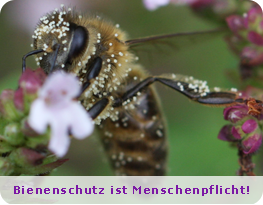 Bild: Bienenschutz ist Menschenpflicht!