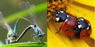 Foto: Leben will Sex! Foto: Leben will Sex!